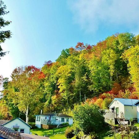 Silver Springs Cottage Resort Harcourt Esterno foto