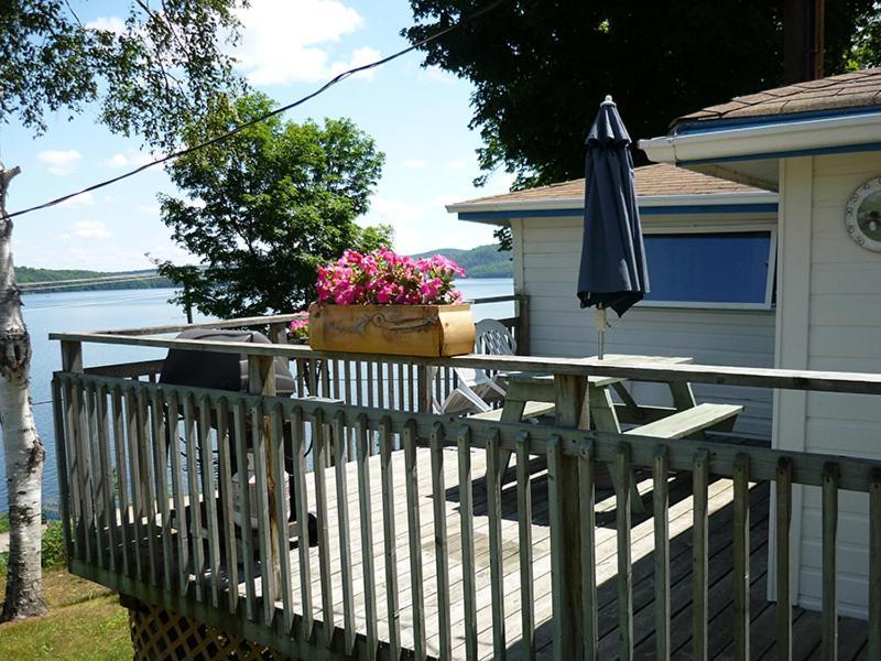 Silver Springs Cottage Resort Harcourt Esterno foto