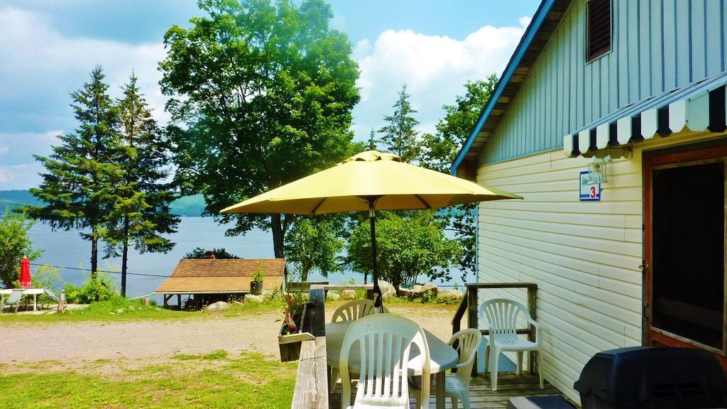 Silver Springs Cottage Resort Harcourt Esterno foto