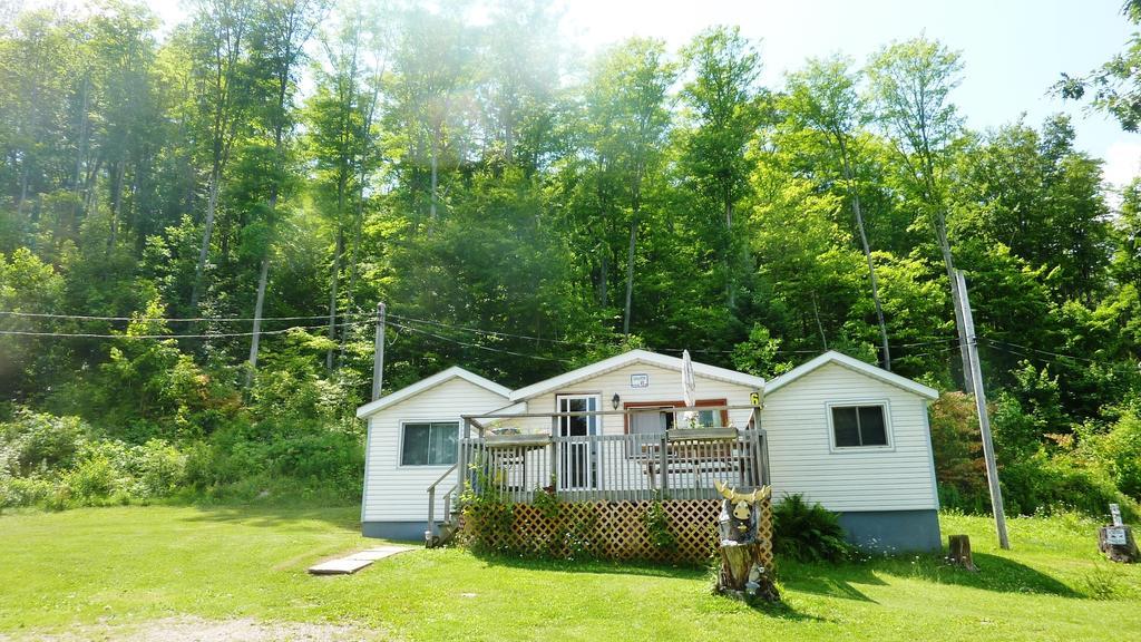 Silver Springs Cottage Resort Harcourt Esterno foto
