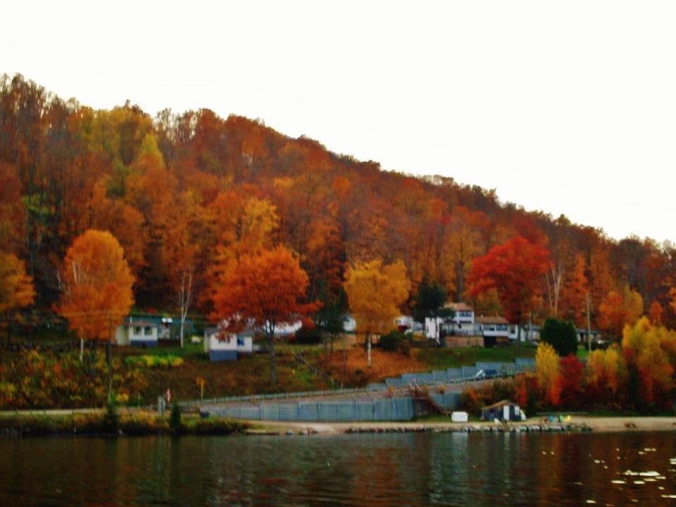 Silver Springs Cottage Resort Harcourt Esterno foto
