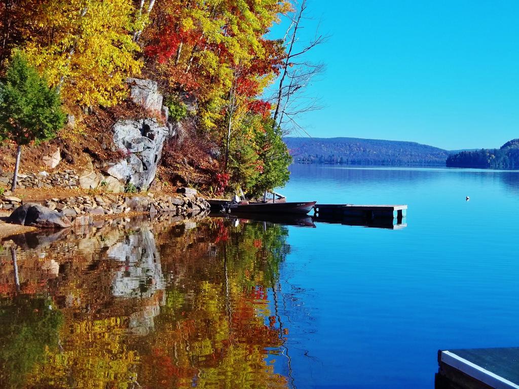 Silver Springs Cottage Resort Harcourt Esterno foto