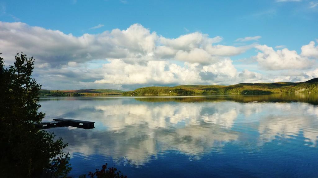 Silver Springs Cottage Resort Harcourt Esterno foto