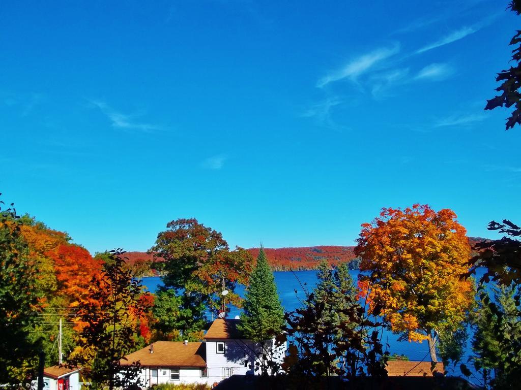 Silver Springs Cottage Resort Harcourt Esterno foto