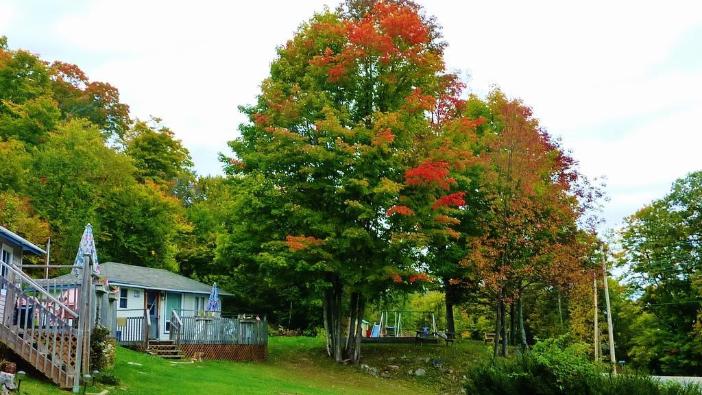 Silver Springs Cottage Resort Harcourt Esterno foto