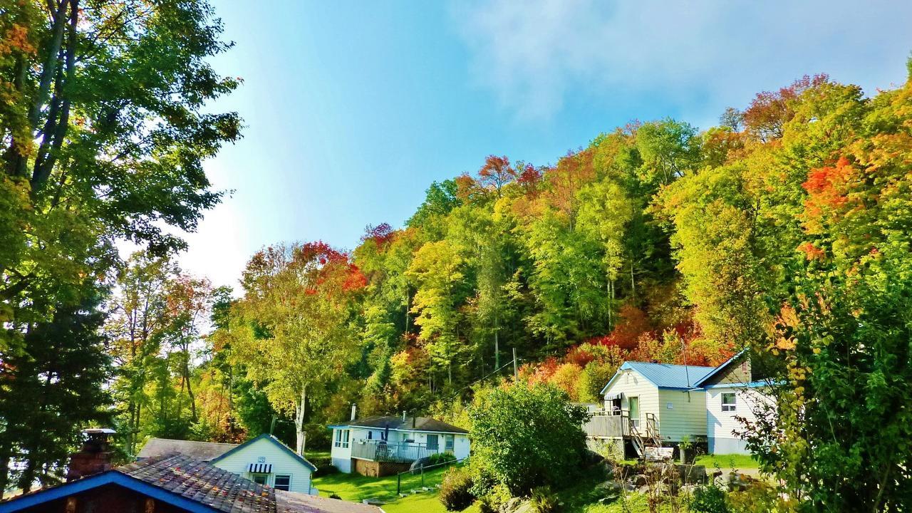 Silver Springs Cottage Resort Harcourt Esterno foto